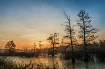 Sunrise over Cypress marsh - Mingo NWR Missouri OC 