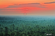 Sunrise over Wharton State Forest Southern NJ Pinelands - Albert D Horner 