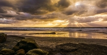 Sunset at Dog Beach in Del Mar CA OC x