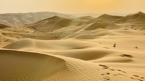 Sunset in Empty Quater desert Liwa oasis UAE 