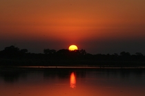 Sunset in South Africas Kruger National Park 