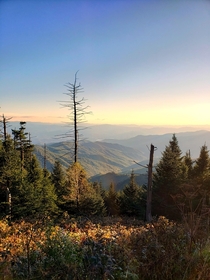 Sunset on Clingmans Dome Great Smoky Mountains National Park on the North Carolina - Tennessee border 