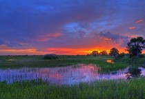 Sunset over Everglades National Park Florida 