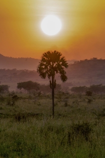 Sunset over Kidepo Valley NP Uganda 