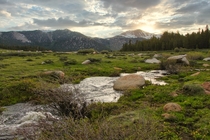Sunset over the Eastern Sierras from an alpine meadow at  elevation 