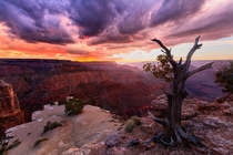 Sunset over the Grand Canyon AZ   by Mike Olbinski