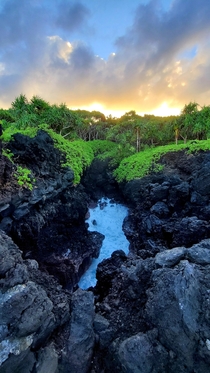 Sunsets blowholes and native hala forests at Waianapanapa State Park Maui HI 