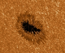 Sunspot at highest resolution ever GREGOR telescope km per pixel