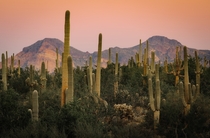 Superstition Mountains Arizona 