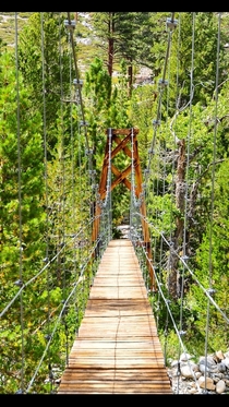 Suspension bridge over Wood Creek on John Muir Trail 