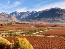Sutherland Vineyards and Hex River Valley South Africa