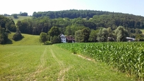 Swiss Corn Farm 