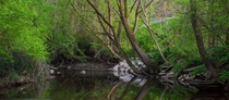 Sycamore Creek in Pickerington OH  photo by Sean Denney
