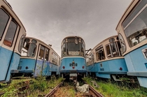 Symmetrical Cemetery of Abandoned Tramcars 