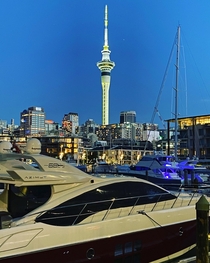 Take a walk down to the harbour at nighttime to get the best view of Auckland city sky towerNew Zealand 