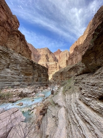 Taken at the bottom of the Grand Canyon on the trek from Havasupai to the Colorado OCx