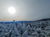 Taken yesterday morning on the ridge between Mt Pierce and Mt Eisenhower White Mountains NH  x