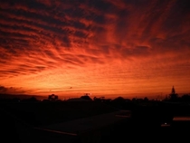 Tangerine tinted sunrise in Australia Unedited Not the best quality but beautiful nonetheless