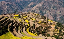 Terraced Rice Fields of Nepal  By Daigo Kuwabara  x-post rNepalPics