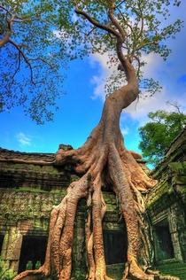 th century temple in Angkor Cambodia x