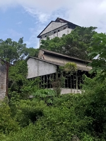 The abandoned rum factory with a dark past in Marienburg Suriname 