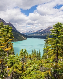 The amazing color of glacial waters Alberta Canada  ig-natureprofessor