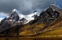 The Andes 