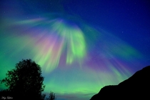 The aurora from Stonglandseidet Norway on Saturday 