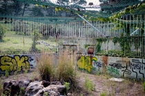 The back of an abandoned lion enclosure in Cape Town South Africa