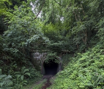 The Ballingham rail tunnel UK Matt Emmett 