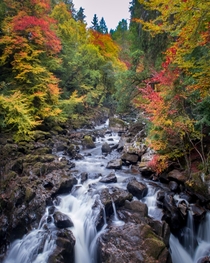 The beautiful fall colours at the Hermitage Perthshire Scotland   