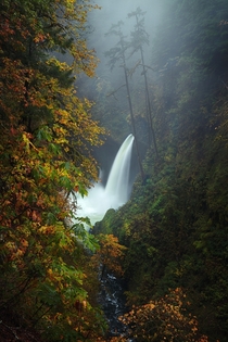 The beautiful Metlako Falls located in the Columbia River Gorge in Oregon on a rainy and foggy fall morning - taken Saturday 