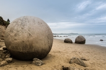 The beautiful Moeraki boulders at Moeraki New Zealand - created by natural concretion of the local mudstone 