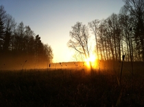 The best photo Ive ever shot with my iPhone  Sweden Nykping 