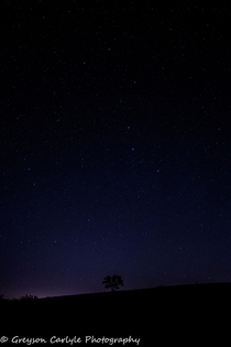 The Big Dipper above a lone tree on a Texas hilltop