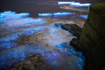 The bioluminescent waves made San Diego look like a scene out of Avatar last night Sunset cliffs California 