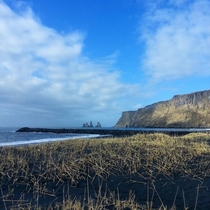 The black beach of Vik Iceland 