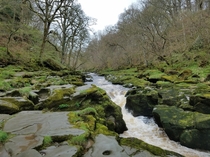The Bolton Strid Yorkshire - A Stream that Swallows People 