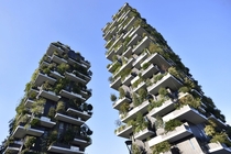 The Bosco Verticale or vertical forest towers in Milan Italy Flavio Lo Scalzo 