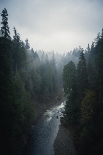 The Capilano River on a rainy Vancouver day 