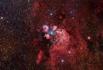 The Cats Paw Nebula 