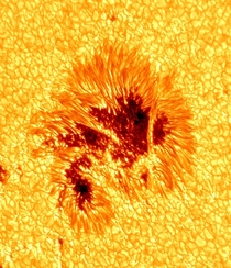 The Clearest Image of a Sunspot Ever Taken Courtesy of the Big Bear Solar Observatory 