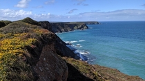 The Cornish coast 
