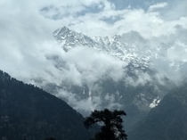 The Dhauladhar range from Triund top Himachal Pradesh India May  