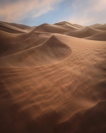 The dunes of the Liwa Desert 