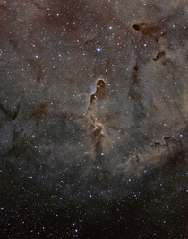 The Elephant Trunk Nebula this was taken from my backyard near Phoenix AZ hrs of data and my first tricolor narrowband image 