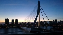 The Erasmus Bridge Rotterdam The Netherlands 