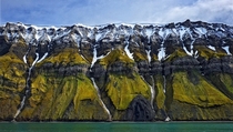 The eroded green cliffs and remnant snow of the cliffs of Svalbard  Photo by Stuart Chape