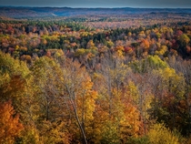 The fall foliage in Vermont a few days ago looking like a fireworks display grand finale that just keeps going   x 