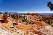 The fantastic color of Bryce Canyon National Park 